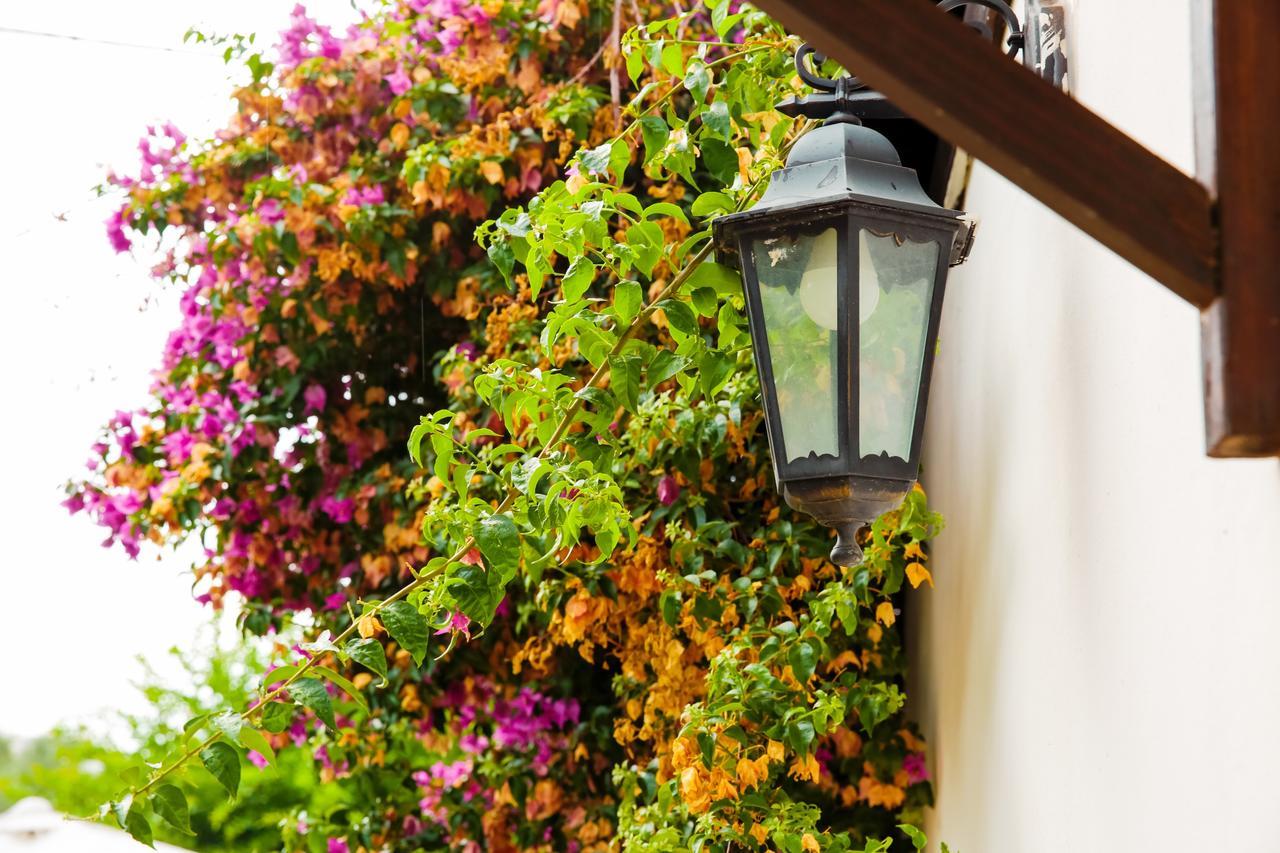 בארי Bed & Breakfast Santa Fara מראה חיצוני תמונה